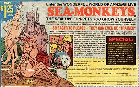 Comic Mail Order Ads: Sea Monkeys image