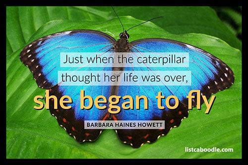 Cute short quotes: She Began to Fly visual