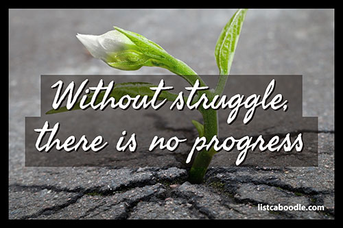 Without struggle quote