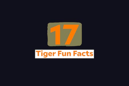 Trivia and fun facts about tigers image