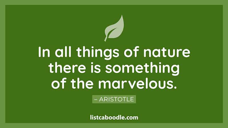 Aristotle quote about nature image