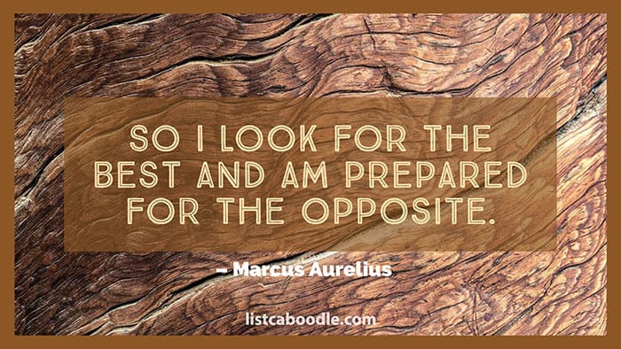 Marcus Aurelius quote image