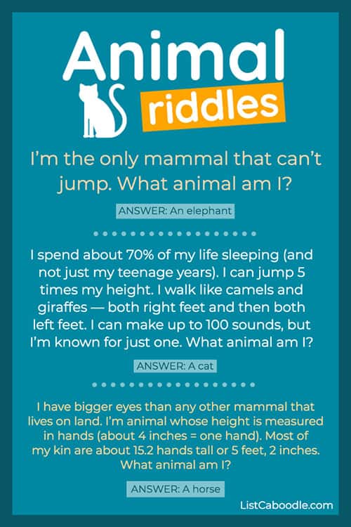 27 Animal Riddles For Kids, For Car Rides, Classrooms (FREE Printable)