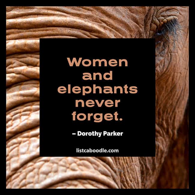 Women and elephants never forget quote