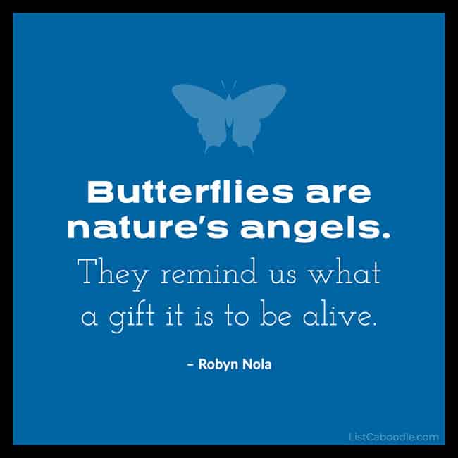 Robyn Nola butterfly quote image