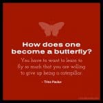 75 Best Butterfly Quotes and Inspiring Sayings | ListCaboodle
