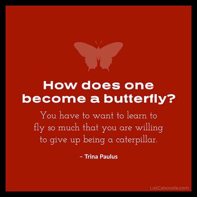 Trina Paulus butterfly quote image