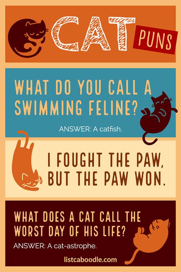 Great Cat Riddles