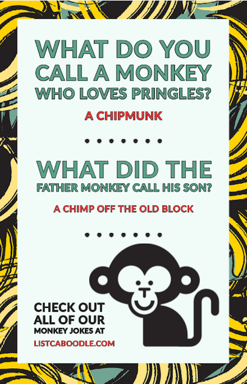 37 Funny Monkey Jokes To Make You Go Bananas | ListCaboodle