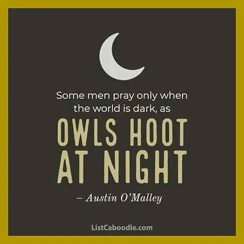 Owls at night quote