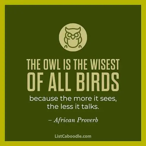 Wise owl quote