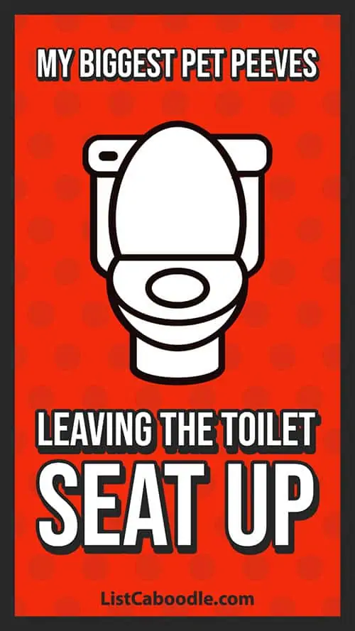 Pet peeves: leaving the toilet seat up