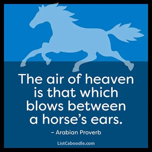 Arabian proverb quote