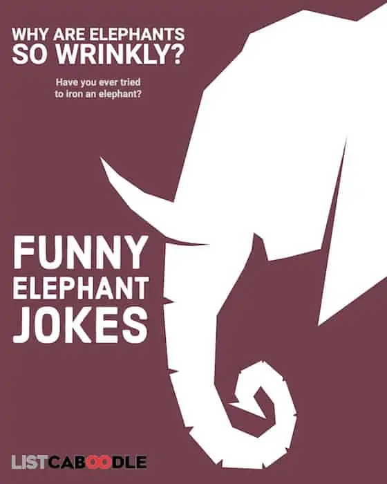 funny elephant jokes