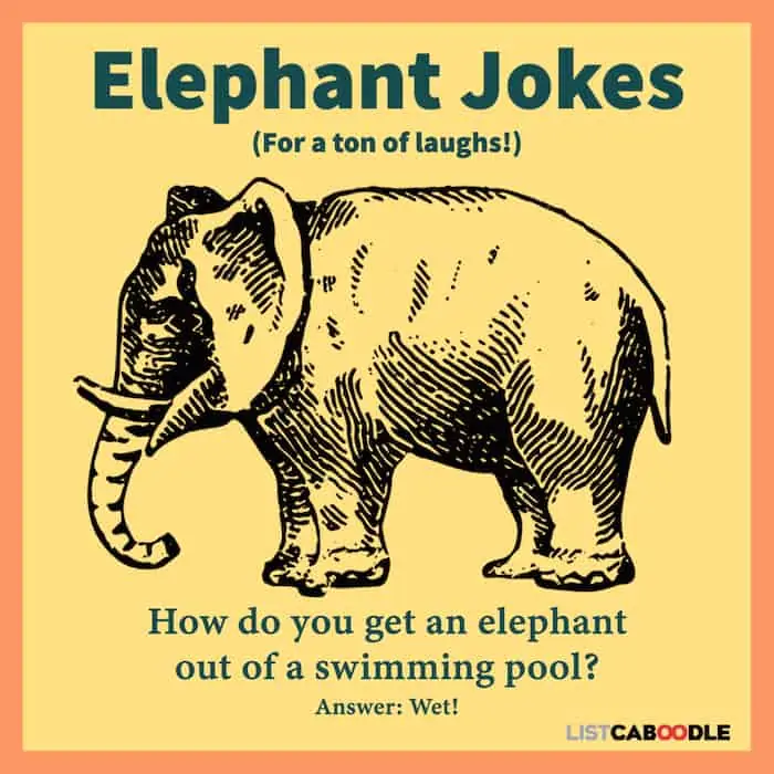 Good elephant jokes