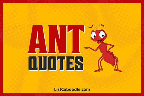 99+ Ant Quotes About Strength, Inspiration, Achievement