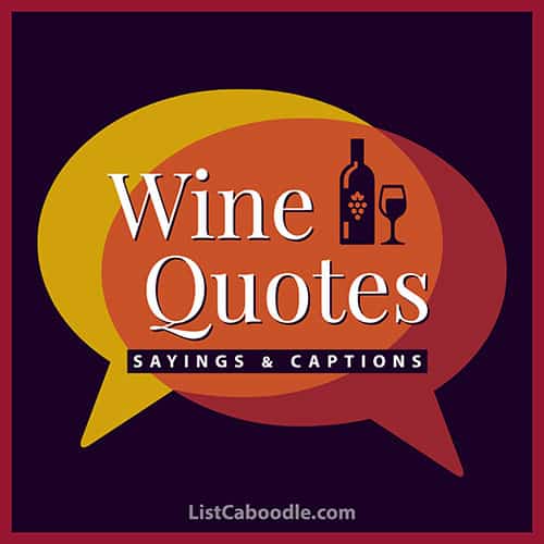 101+ Wine Quotes, Sayings, Captions (For Wine Lovers!) ListCaboodle