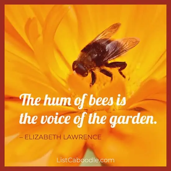 Bee garden quote