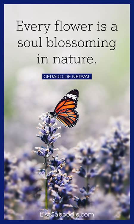 Flower gardening quote image