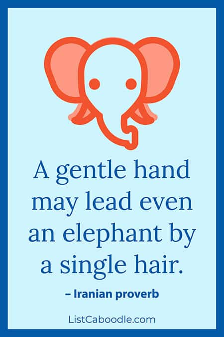 Elephant proverb image