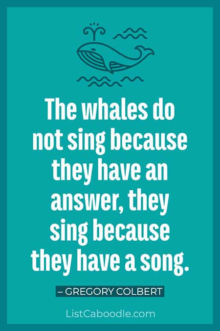 Quote about whale song