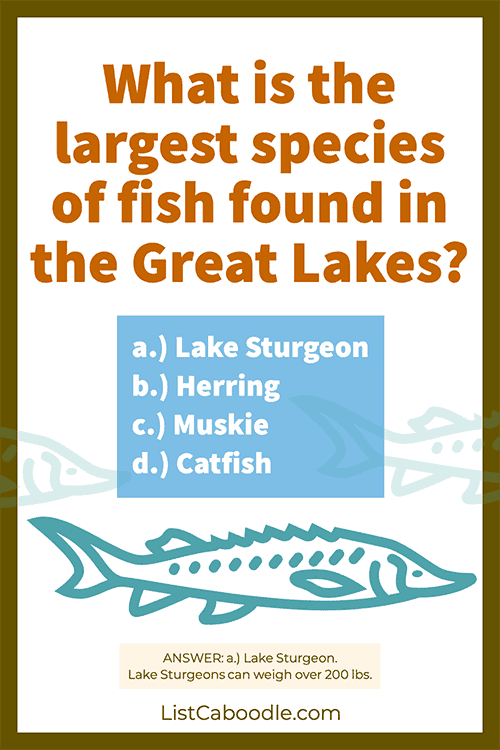 Great Lakes fish species