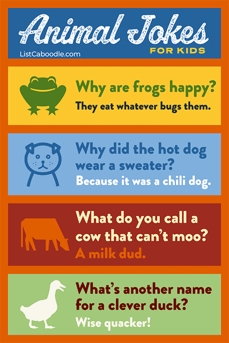 101+ Animal Jokes For Kids (Laugh-Out-Loud Fun!) | ListCaboodle