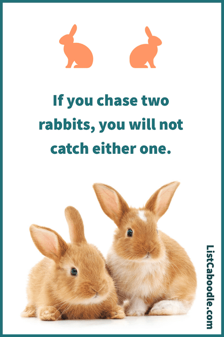 If you chase two rabbits saying
