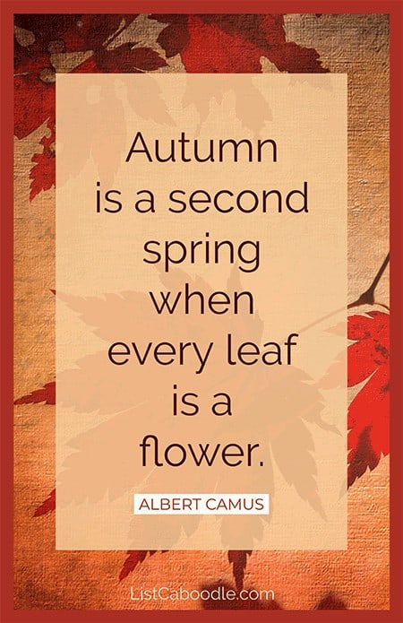 Autumn quote by Albert Camus