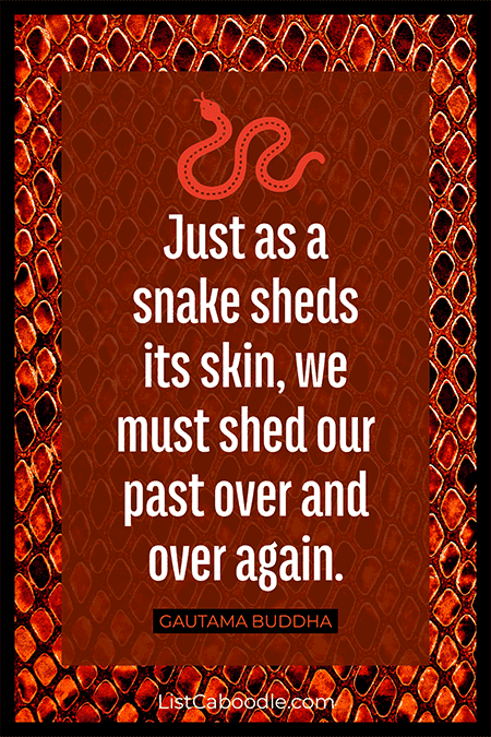 Shed our past quote by Buddha