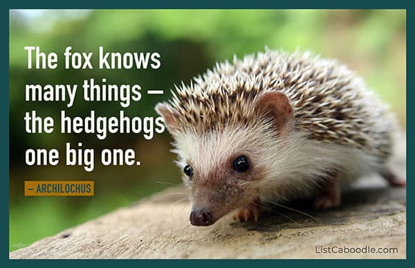Archilochus hedgehog quote