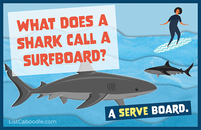 Shark surfboard joke