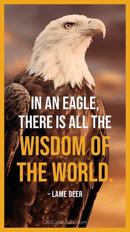 Lame Deer eagle quote