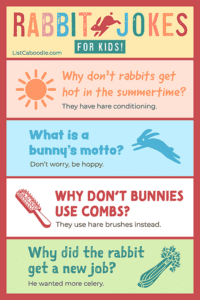79+ Rabbit Jokes For Kids (A Very Bunny List!)