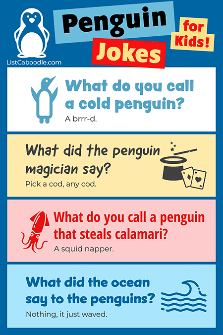More penguin jokes and puns