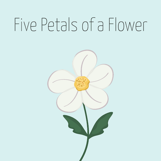 The five petals of a flower - Notable fivesomes.