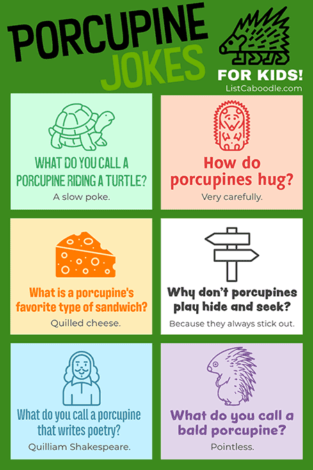 Funny porcupine jokes for kids