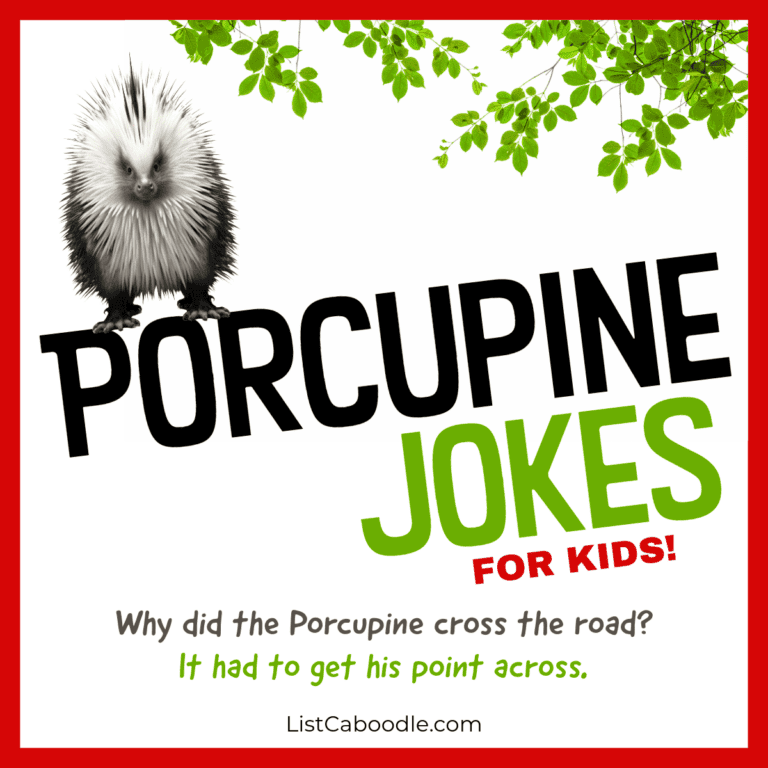 36 Porcupine Jokes For Kids (They're Clean & Kid Friendly!)