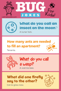 Bug Jokes For Kids (& Bug-tastic Insect Puns!)