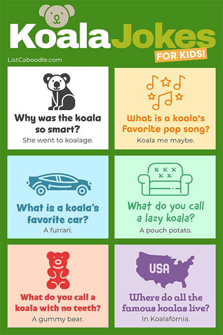 More funny koala jokes for kids