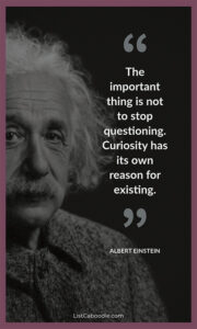 60+ Quotes About Curiosity (for Inquisitive Minds!)