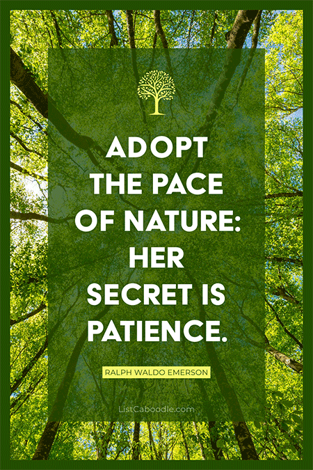 Nature quote by Ralph Waldo Emerson.