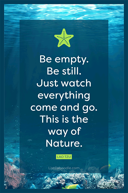 Nature quote by Lao Tau.