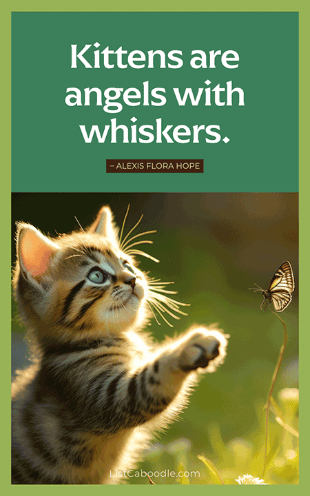 Alexis Flora Hope quote about kittens