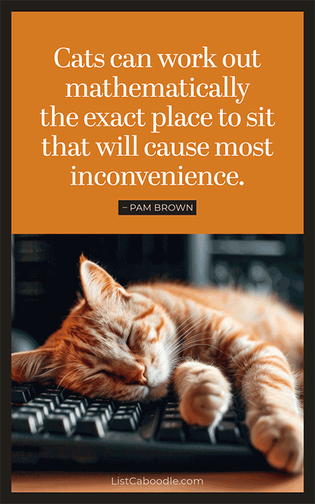 Pam Brown quote about cats