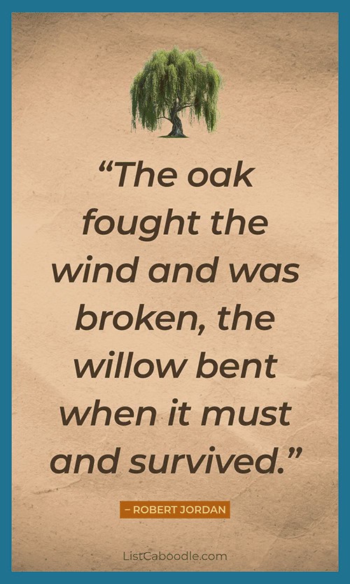 Bad day quote by Robert Jordan