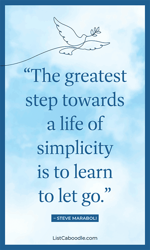 Minimalism quote by Steve Maraboli