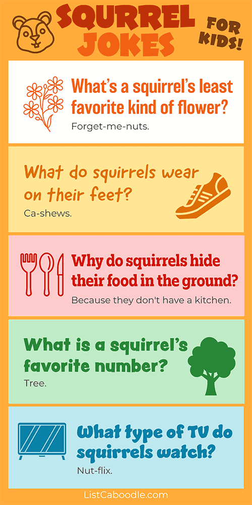 More funny squirrel jokes for kids