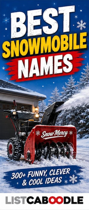 Clever snowblower naming ideas.