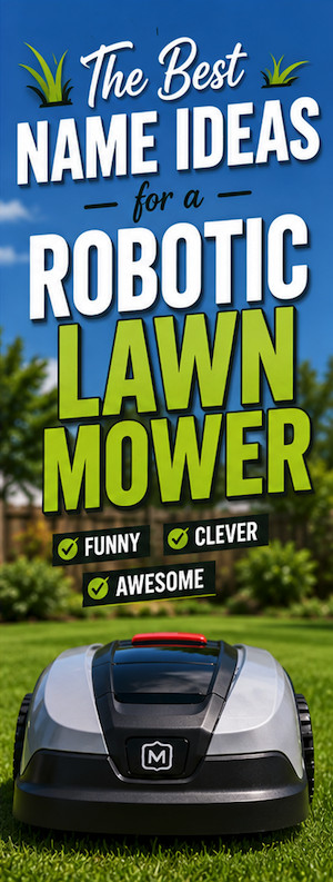 The Best Name Ideas for a robotic lawn mower.